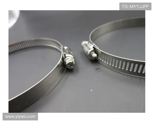 挖掘机水箱上下水管抱箍